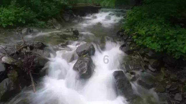 在中国()最早发现了关于蚕茧的书。有问必答平台-快速获取问题答案的在线问答社区